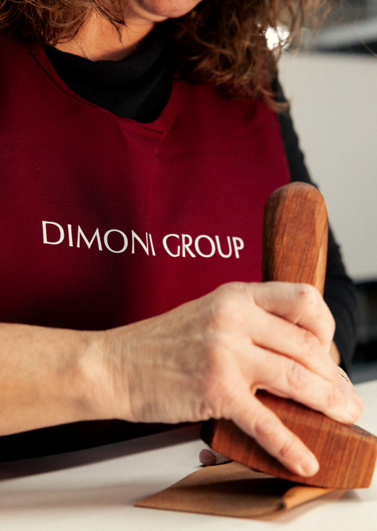 Historia de Dimoni Group