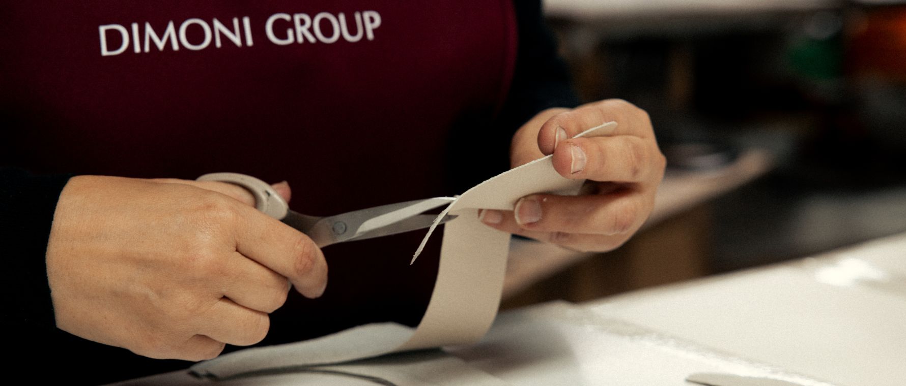 Únete al equipo de Dimoni Group